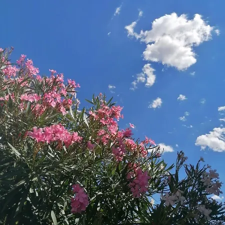 Serendipity