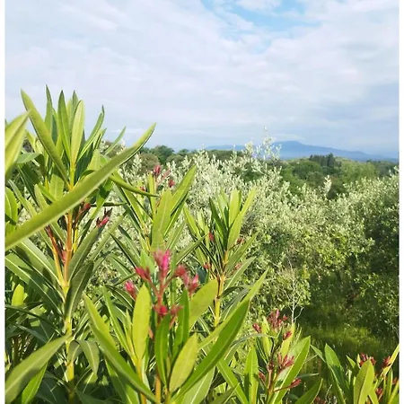 דירה Serendipity *