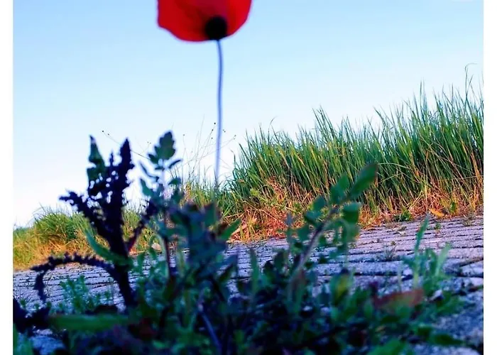 דירה Serendipity *