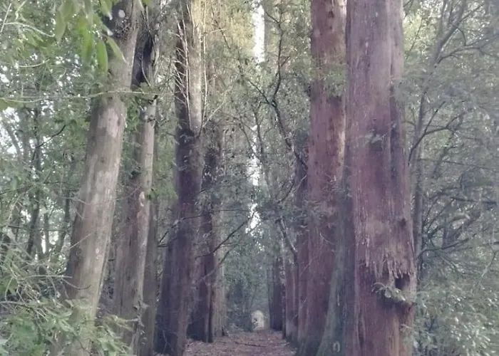 Serendipity דירה מונטופולי אין ואל ד'ארנו