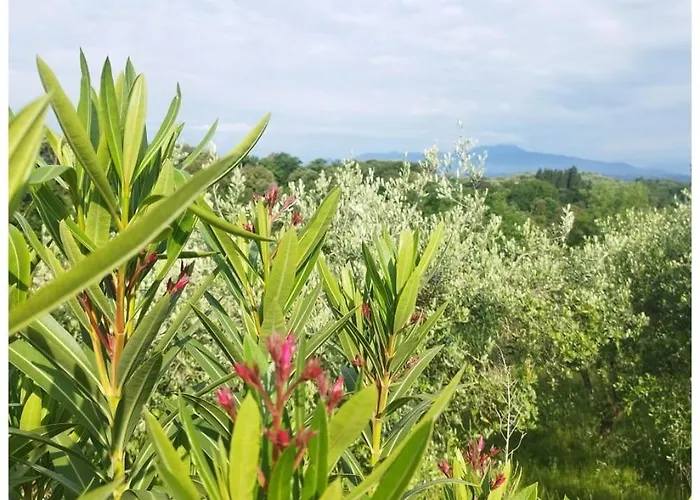 דירה Serendipity *