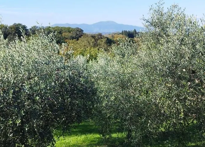 Serendipity דירה *