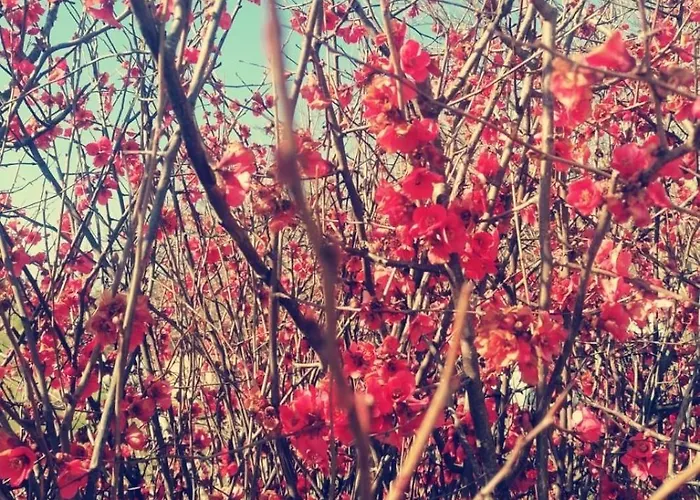 Serendipity דירה *