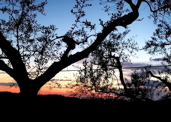 דירה Serendipity *